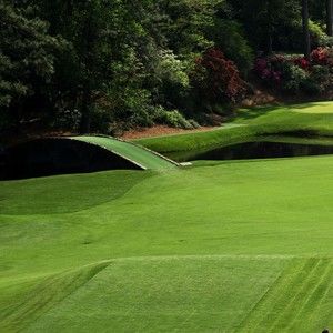 Meet your Posher, Zachary